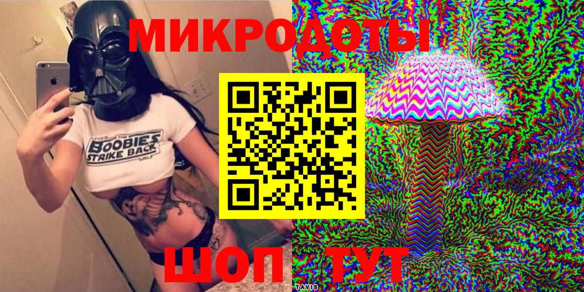Галлюциногенные грибы Psilocybe Славянск-на-Кубани