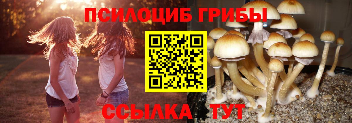 Галлюциногенные грибы Magic Shrooms  Псилоцибиновые грибы Magic Shrooms  Славянск-на-Кубани  Вход с VPN 